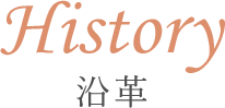 History 沿革